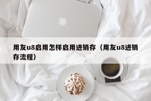 用友u8启用怎样启用进销存（用友u8进销存流程）