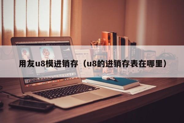 用友u8模进销存（u8的进销存表在哪里）