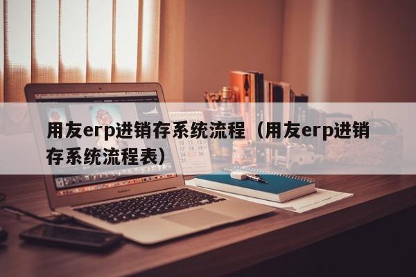 用友erp进销存系统流程（用友erp进销存系统流程表）