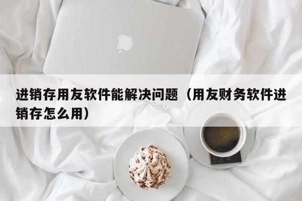 进销存用友软件能解决问题（用友财务软件进销存怎么用）