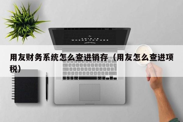 用友财务系统怎么查进销存（用友怎么查进项税）