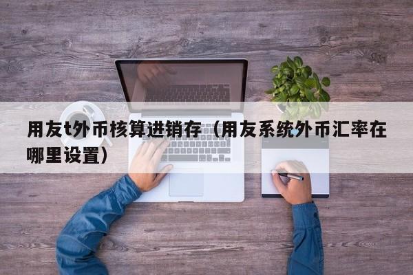 用友t外币核算进销存（用友系统外币汇率在哪里设置）