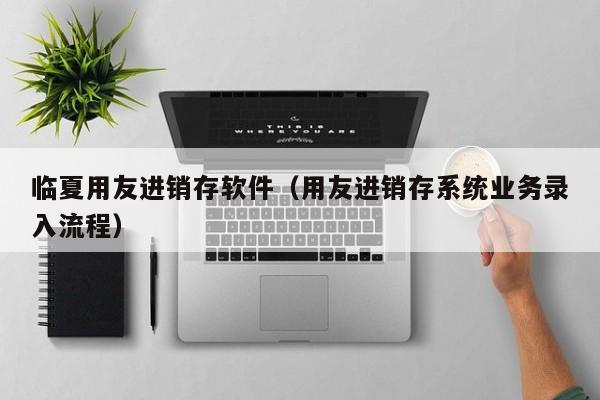 临夏用友进销存软件（用友进销存系统业务录入流程）