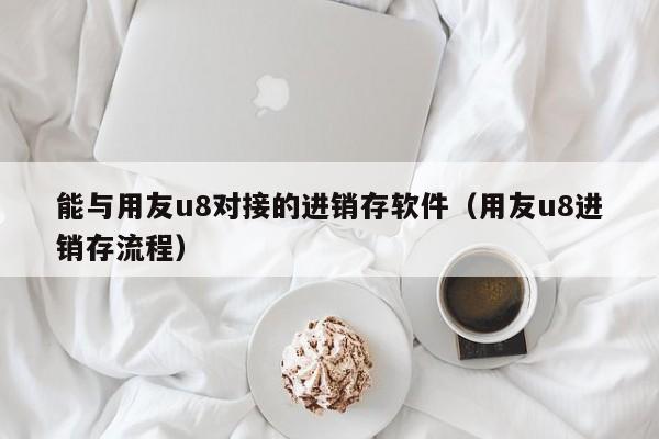 能与用友u8对接的进销存软件（用友u8进销存流程）