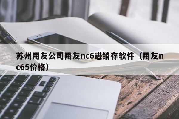 苏州用友公司用友nc6进销存软件（用友nc65价格）