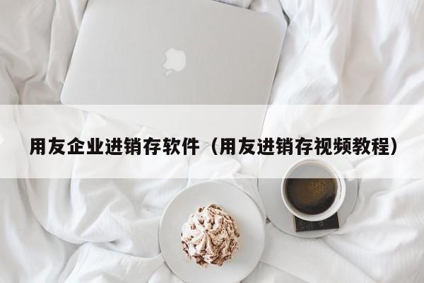 用友企业进销存软件（用友进销存视频教程）