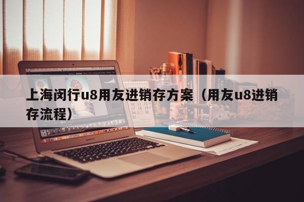 上海闵行u8用友进销存方案（用友u8进销存流程）