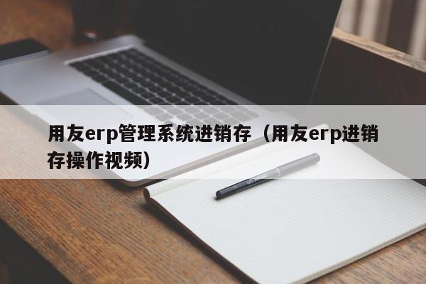 用友erp管理系统进销存（用友erp进销存操作视频）