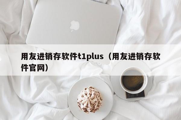 用友进销存软件t1plus（用友进销存软件官网）