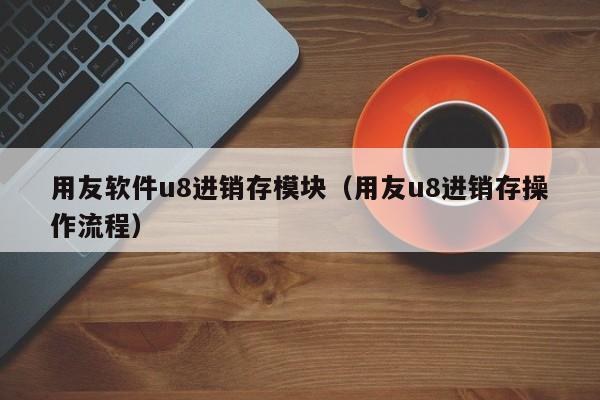 用友软件u8进销存模块（用友u8进销存操作流程）