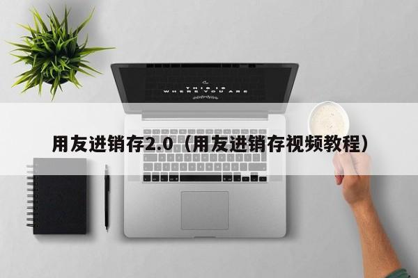 用友进销存2.0（用友进销存视频教程）