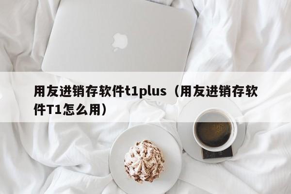 用友进销存软件t1plus（用友进销存软件T1怎么用）