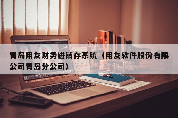 青岛用友财务进销存系统（用友软件股份有限公司青岛分公司）