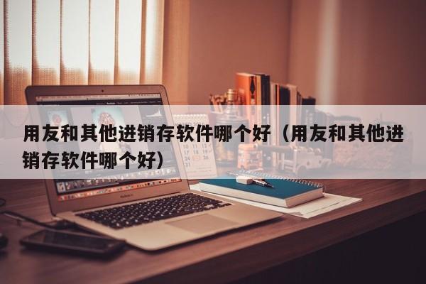 用友和其他进销存软件哪个好（用友和其他进销存软件哪个好）