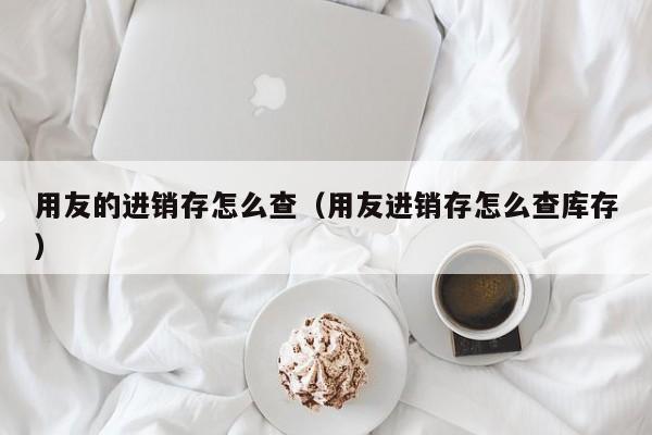 用友的进销存怎么查（用友进销存怎么查库存）