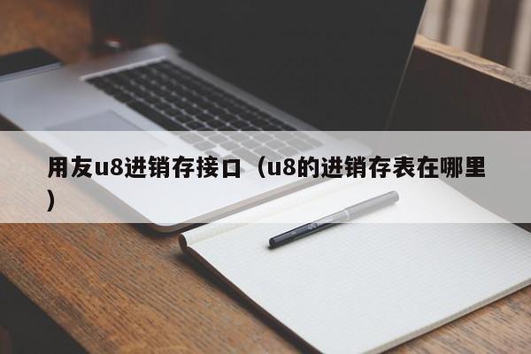 用友u8进销存接口（u8的进销存表在哪里）