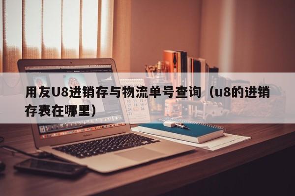 用友U8进销存与物流单号查询（u8的进销存表在哪里）