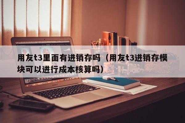 用友t3里面有进销存吗（用友t3进销存模块可以进行成本核算吗）