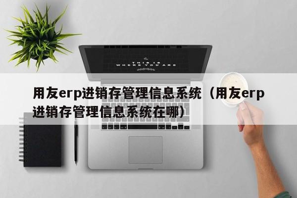 用友erp进销存管理信息系统（用友erp进销存管理信息系统在哪）