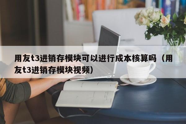 用友t3进销存模块可以进行成本核算吗（用友t3进销存模块视频）