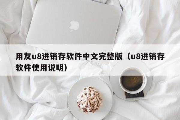 用友u8进销存软件中文完整版（u8进销存软件使用说明）