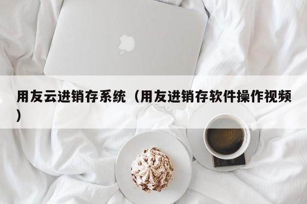 用友云进销存系统（用友进销存软件操作视频）