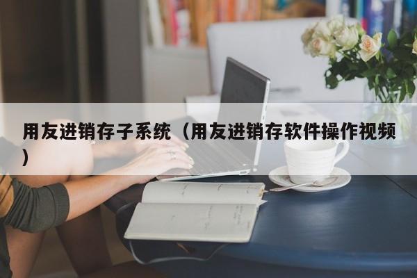 用友进销存子系统（用友进销存软件操作视频）