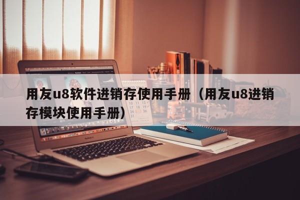 用友u8软件进销存使用手册（用友u8进销存模块使用手册）