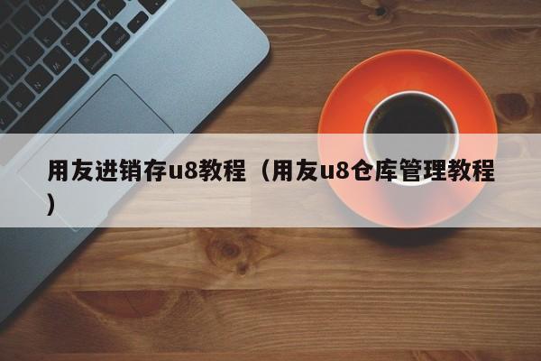 用友进销存u8教程（用友u8仓库管理教程）