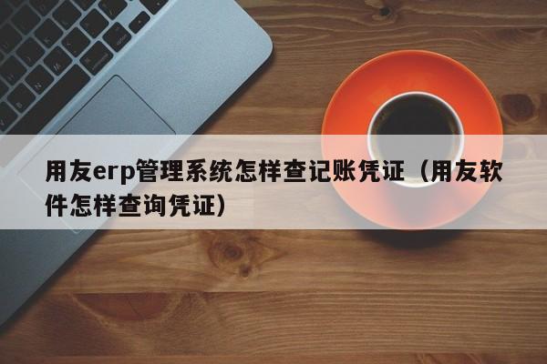 用友erp管理系统怎样查记账凭证（用友软件怎样查询凭证）